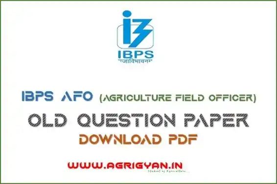 A Banner about IBPS AFO PAPER